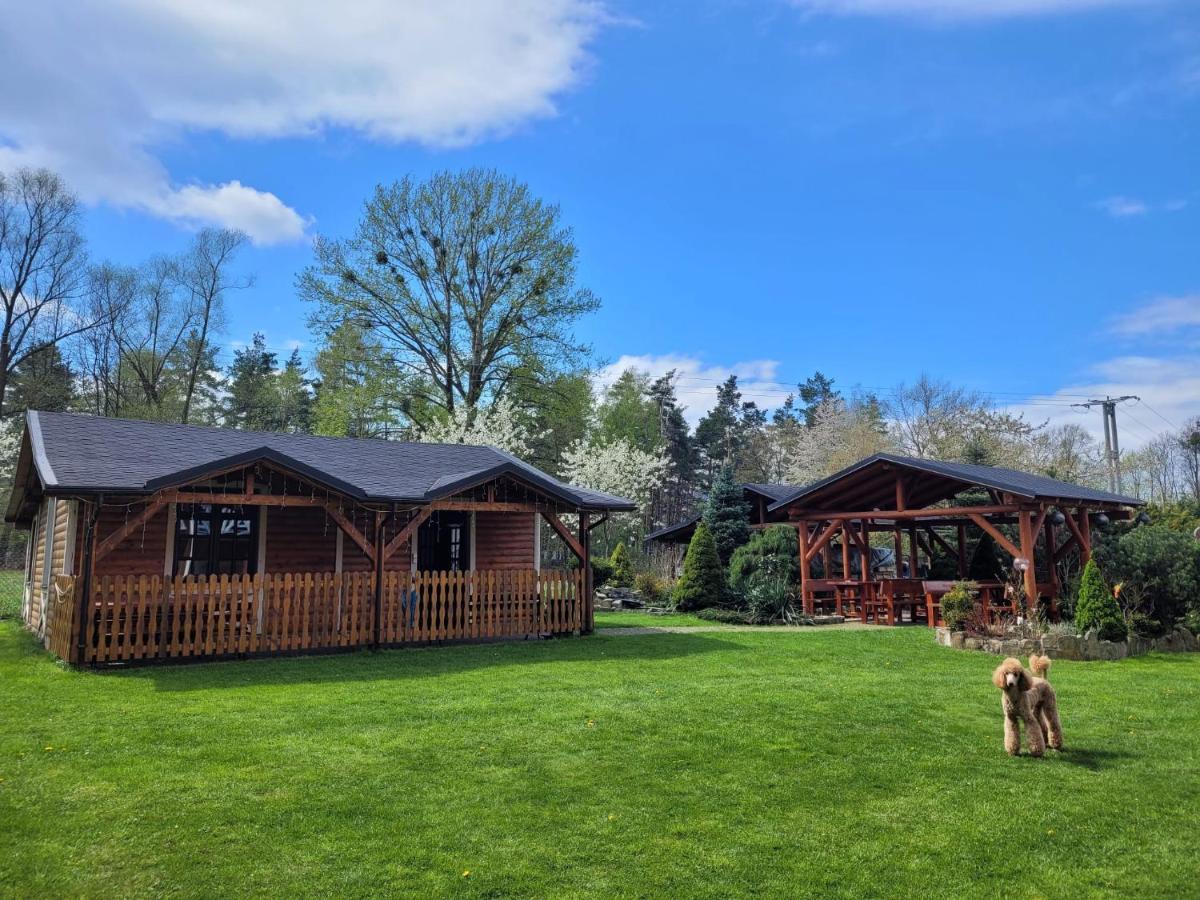 Bed and Breakfast Gosciniec Pod Brzegiem Ustroń Zewnętrze zdjęcie